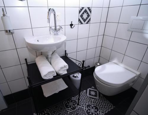 a bathroom with a sink and a toilet at Alt Wien in Vienna