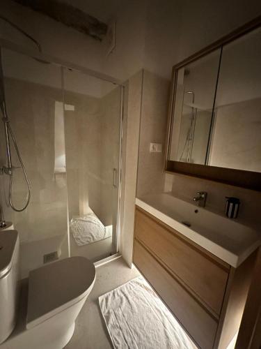 a bathroom with a shower and a toilet and a sink at Central Bilbao, 3min walk to Guggenheim with AC in Bilbao