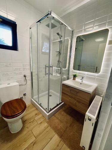 a bathroom with a shower and a toilet and a sink at Bungalow Park Balatonboglár in Balatonboglár