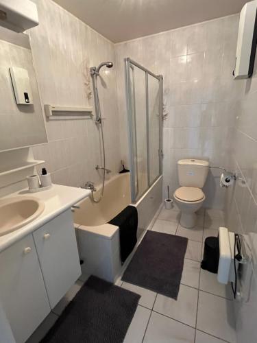 a bathroom with a toilet and a sink and a shower at Studio Zeester in Westende-Bad
