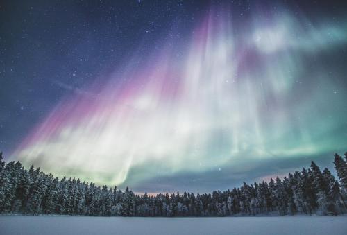 an aurora in the sky over a forest of trees at Northern Nest by Elys Collection in Kittilä