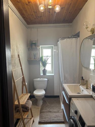 a bathroom with a toilet and a sink and a mirror at Hélios ranch in Varennes-le-Grand