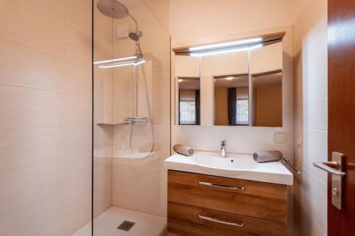 a bathroom with a sink and a shower at Bergschlössl Whg 3 in Oberaudorf