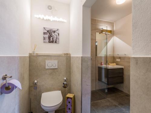 a bathroom with a toilet and a shower at Erdgeschosswohnung 8 im Bergschlössl in Oberaudorf