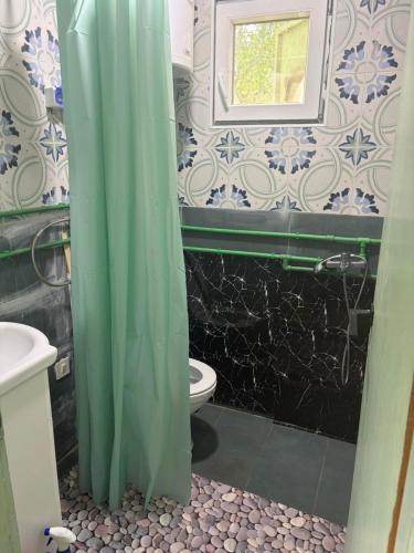 a bathroom with a toilet and a green shower curtain at Konak Vuk in Veruša
