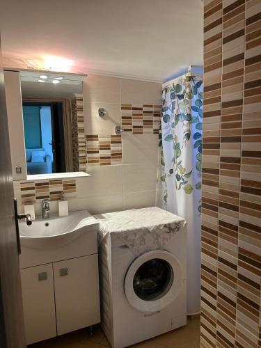 a bathroom with a washing machine and a sink at Matina's cozy home close to Monemvasia in Áyios Sarándos