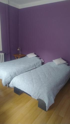 two beds sitting next to each other in a room at Villa Górski Spokój in Srebrna Góra