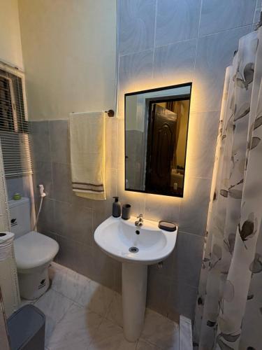 a bathroom with a sink and a toilet and a mirror at Haven 21 in Aja