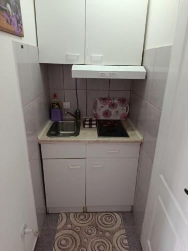 a small kitchen with white cabinets and a sink at Apartmani Cirkov in Veliko Gradište
