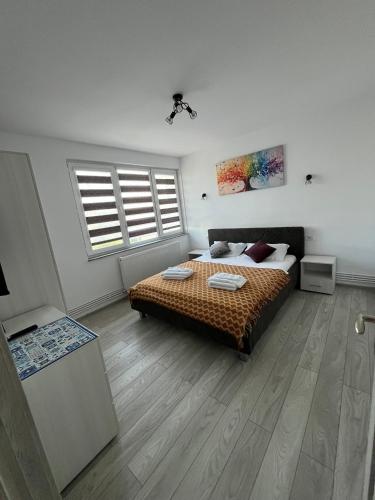 a bedroom with a bed and a large window at DACAFI Luxury Apartment in Hunedoara
