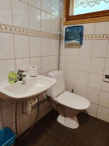 a bathroom with a toilet and a sink at Lomakoti Tuulensuoja in Kärväsjärvi
