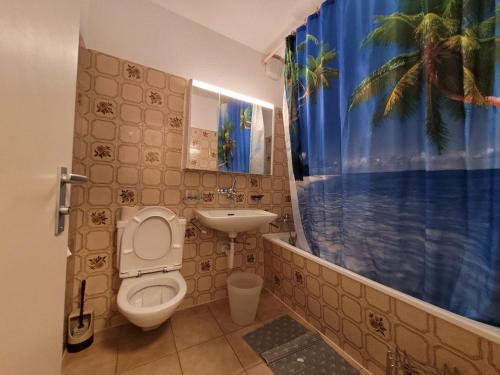 a bathroom with a toilet and a sink and a shower curtain at Davos Swiss Alps in Davos