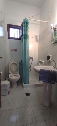 a bathroom with a shower curtain and a toilet and a sink at Ariadni Fountas Studios in Parga