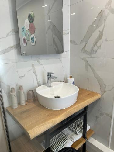 a bathroom with a white sink and a mirror at Style Gardenhouse Zwanenburg near AMSTERDAM, HAARLEM, ZANDVOORT in Zwanenburg