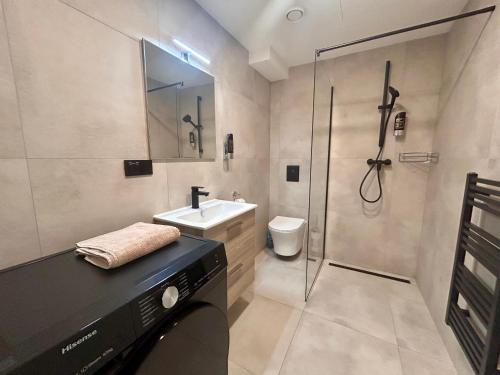 a bathroom with a sink toilet and a shower at Apartmán podlesí in Havířov