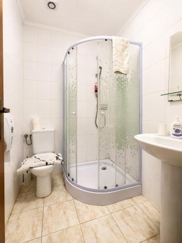 a bathroom with a shower with a toilet and a sink at CAZARE TURISM PRISLOP in Haţeg
