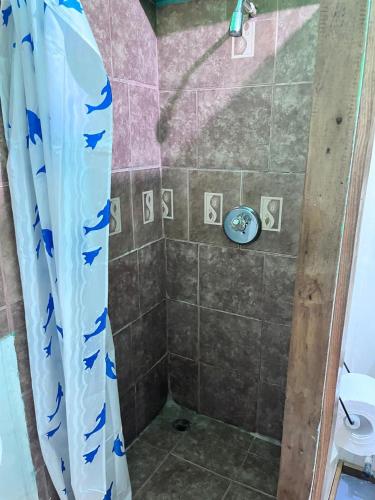 a shower with a blue shower curtain in a bathroom at Garden Lodge Hotel in Placencia