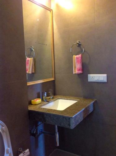 a bathroom with a sink and a mirror at Beechwood Holiday Apartments in Mussoorie