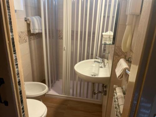 a bathroom with a shower and a sink and a toilet at Hotel Sud America in Fiuggi