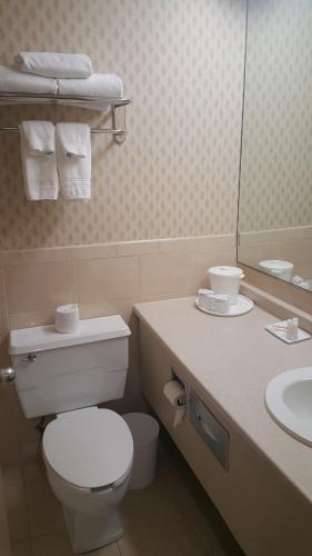 bagno con servizi igienici, lavandino e specchio di East Norwich Inn a East Norwich