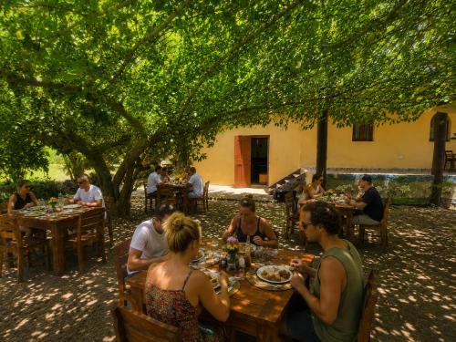 a group of people sitting around a table eating food at Mansa Musso Lodge in Sanyang