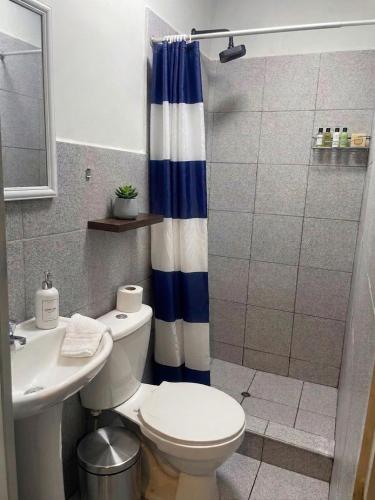 a bathroom with a toilet and a shower at Tripper Monkey Guesthouse Miraflores in Lima