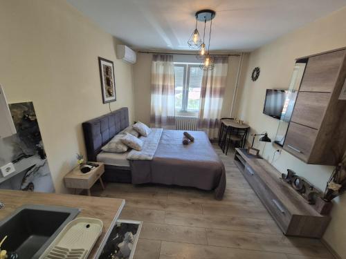 a bedroom with a bed and a sink in it at Grey Apartments Zaječar in Zaječar