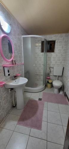 a bathroom with a shower and a sink and a toilet at Casa Răzvan in Arieşeni