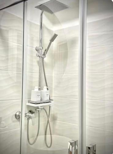 a shower in a bathroom with a glass shower stall at Vercelli Civico 31 in Vercelli