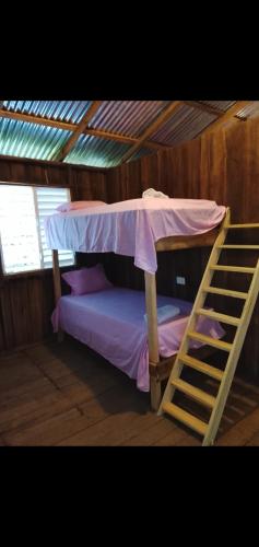a bunk bed in a wooden room with a ladder at Miranda in Arroyo Chico Arriba