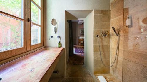 a bathroom with a walk in shower and a window at Authentic Flat in Dijon in Dijon
