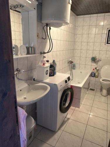 a bathroom with a washing machine and a sink at Đenovici Apartmans in Đenovići
