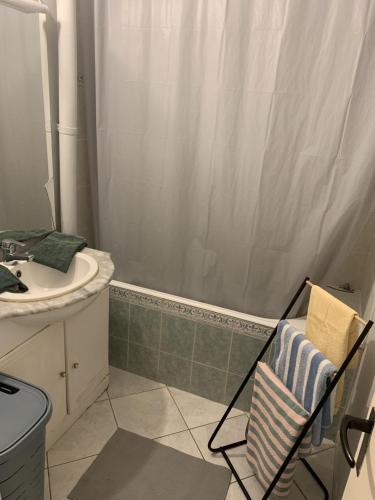 a bathroom with a shower curtain and a sink at Le Jocondien in Joué-lès-Tours