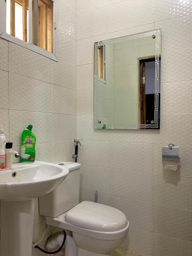 a bathroom with a toilet and a sink and a mirror at Elected Apartments in Iseri-Oke