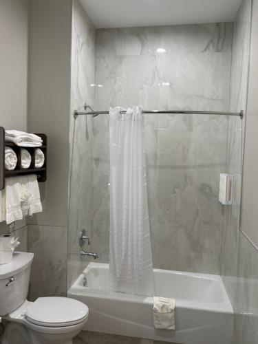 a bathroom with a shower and a toilet and a sink at Clarion Pointe Port Lavaca in Port Lavaca