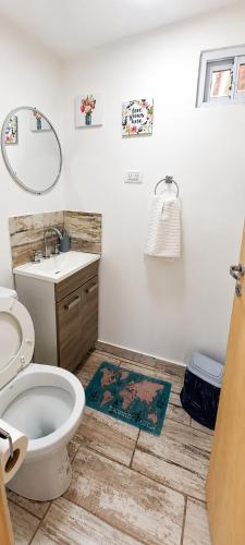 a bathroom with a toilet and a sink and a mirror at Ushuaia Magnifica,cabaña con balcon,luminosa y calida in Ushuaia