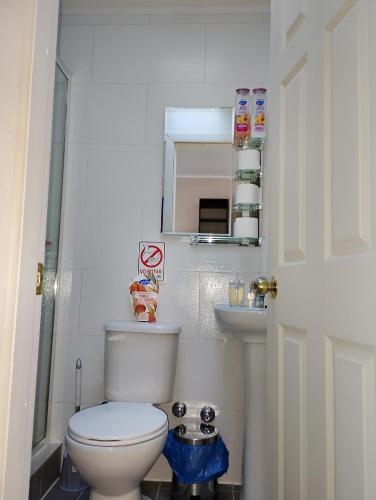 a bathroom with a white toilet and a sink at cabañas los flamencos A in Punta Arenas