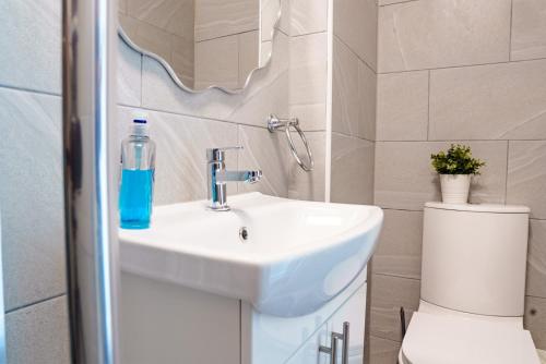 a bathroom with a sink and a toilet at Charles House in Chatham