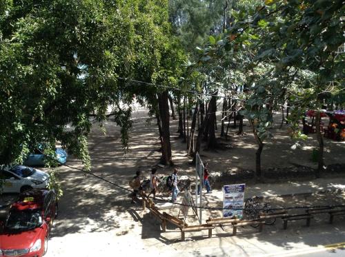 a group of people standing in a park under trees at Ebrahim Flats - Grand Baie Beach in Grand Baie