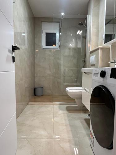 a bathroom with a shower and a toilet and a sink at Apartman Raba in Šušanj