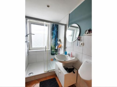 ein Badezimmer mit Waschbecken, Dusche und Toilette in der Unterkunft SollingNest in Uslar