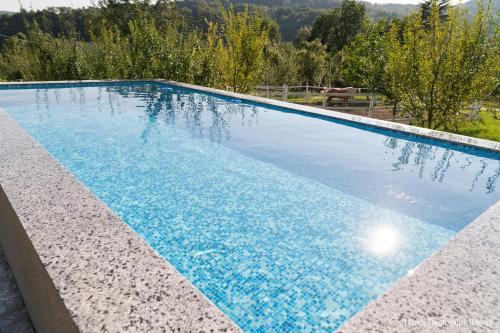 a large swimming pool with blue water at Hanul Doctorului Badeni-Runcu in Runcu
