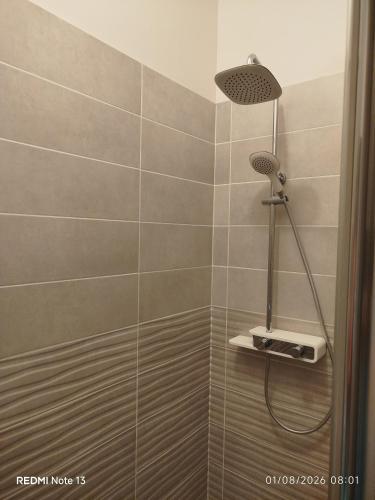 a shower with a shower head in a bathroom at Gîte "fils de laine" Piscine chauffée interieure et Sauna ouverts toute l'année in Celles-sur-Plaine