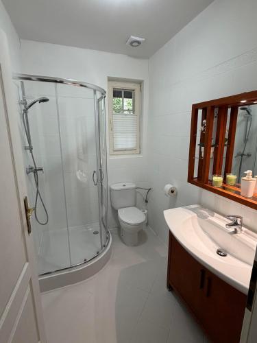 a bathroom with a shower and a toilet and a sink at Domek w niebie in Kazuń Bielany