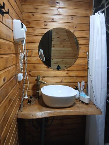 a bathroom with a sink and a mirror at A-frame с видом на горы in Kokotauri