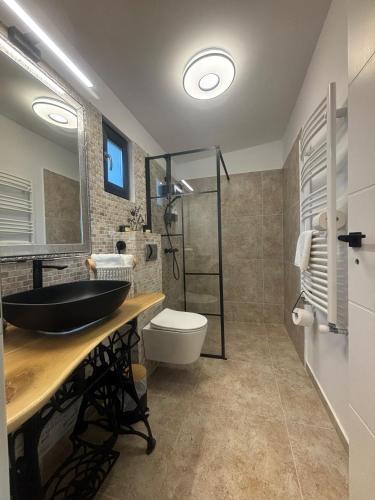 a bathroom with a black sink and a toilet at Casa Tamy Bran in Sohodol