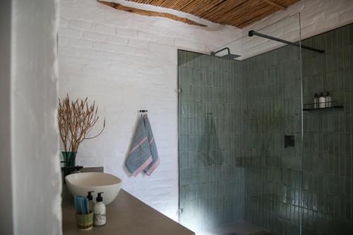 a bathroom with a shower and a sink at Dennehof Karoo Guesthouse in Prince Albert