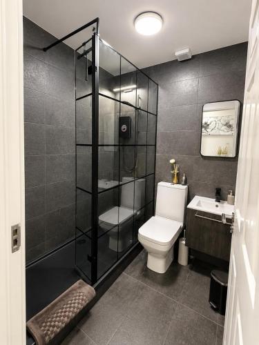 a bathroom with a toilet and a shower and a sink at SeaView Apartment Suite in Cobh