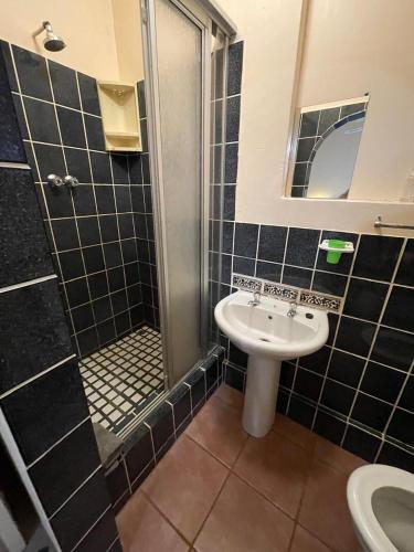 a bathroom with a sink and a shower at Eagle Waters in Vanderkloof