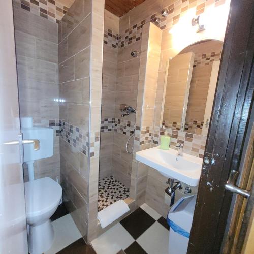 a bathroom with a shower and a toilet and a sink at Ezüstfenyő Üdülő Visegrád in Visegrád